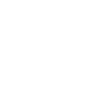 Visit Website Icon